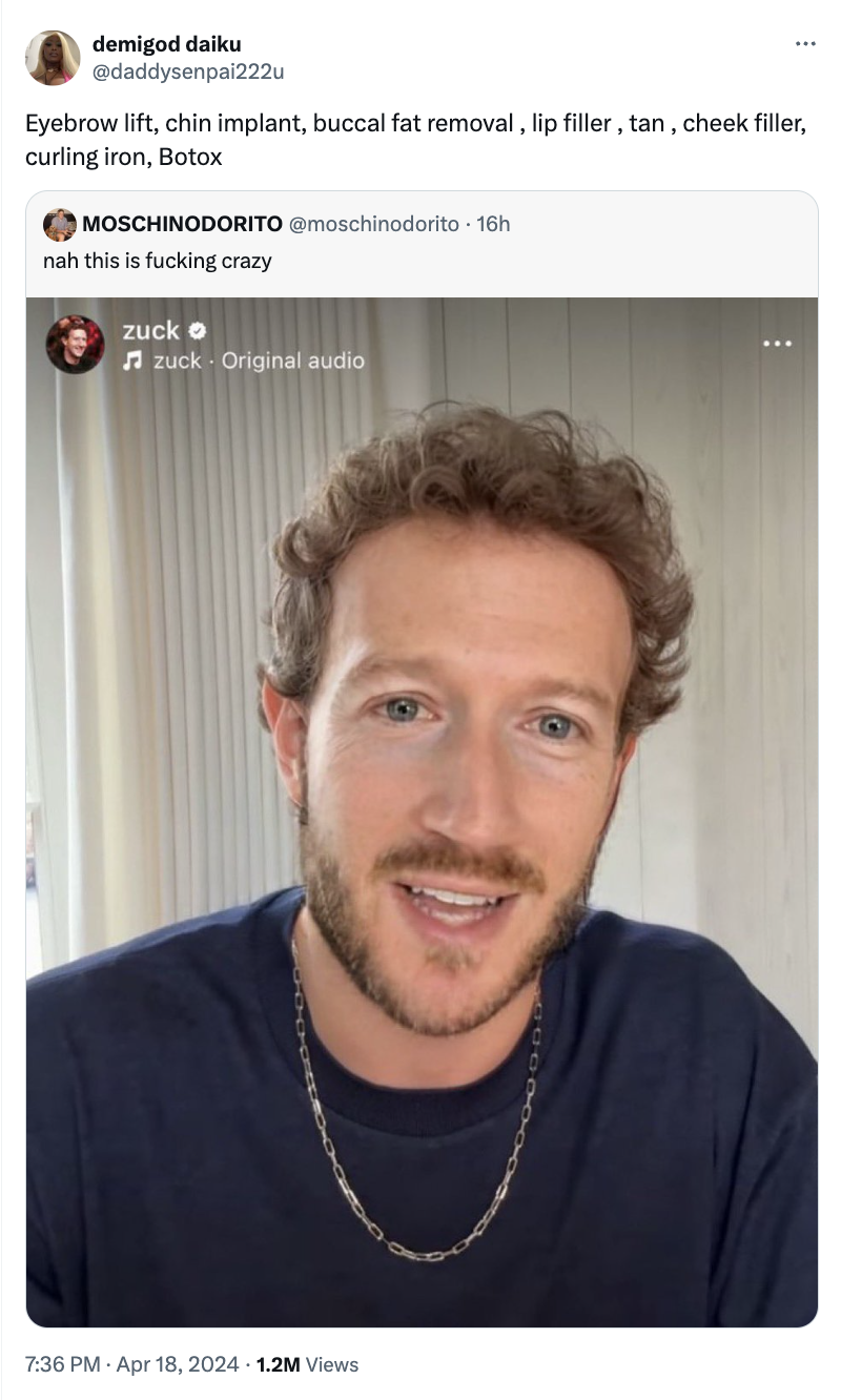 Mark Zuckerberg - demigod daiku Eyebrow lift, chin implant, buccal fat removal, lip filler, tan, cheek filler, curling iron, Botox Moschinodorito 16h nah this is fucking crazy zuck zuck Original audio 1.2M Views